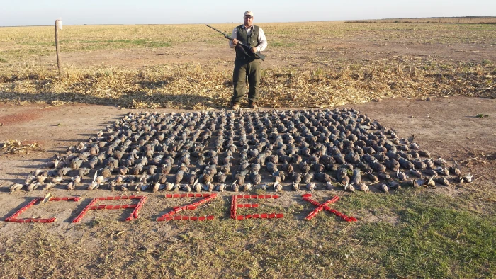 caza menos argentina tortolas