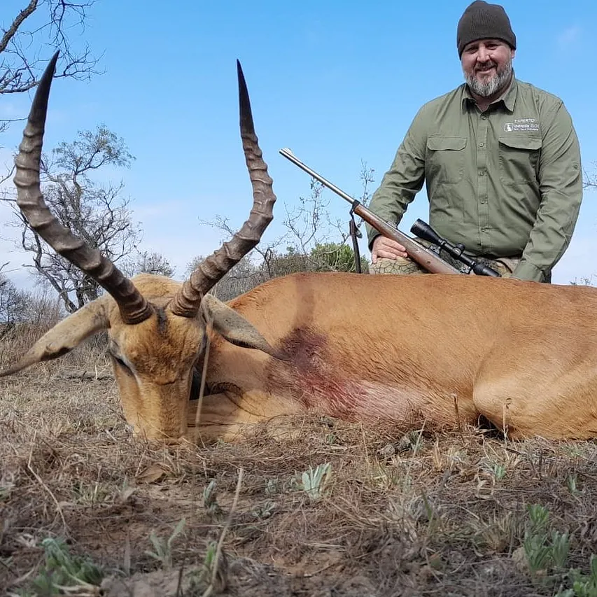 áfrica impala